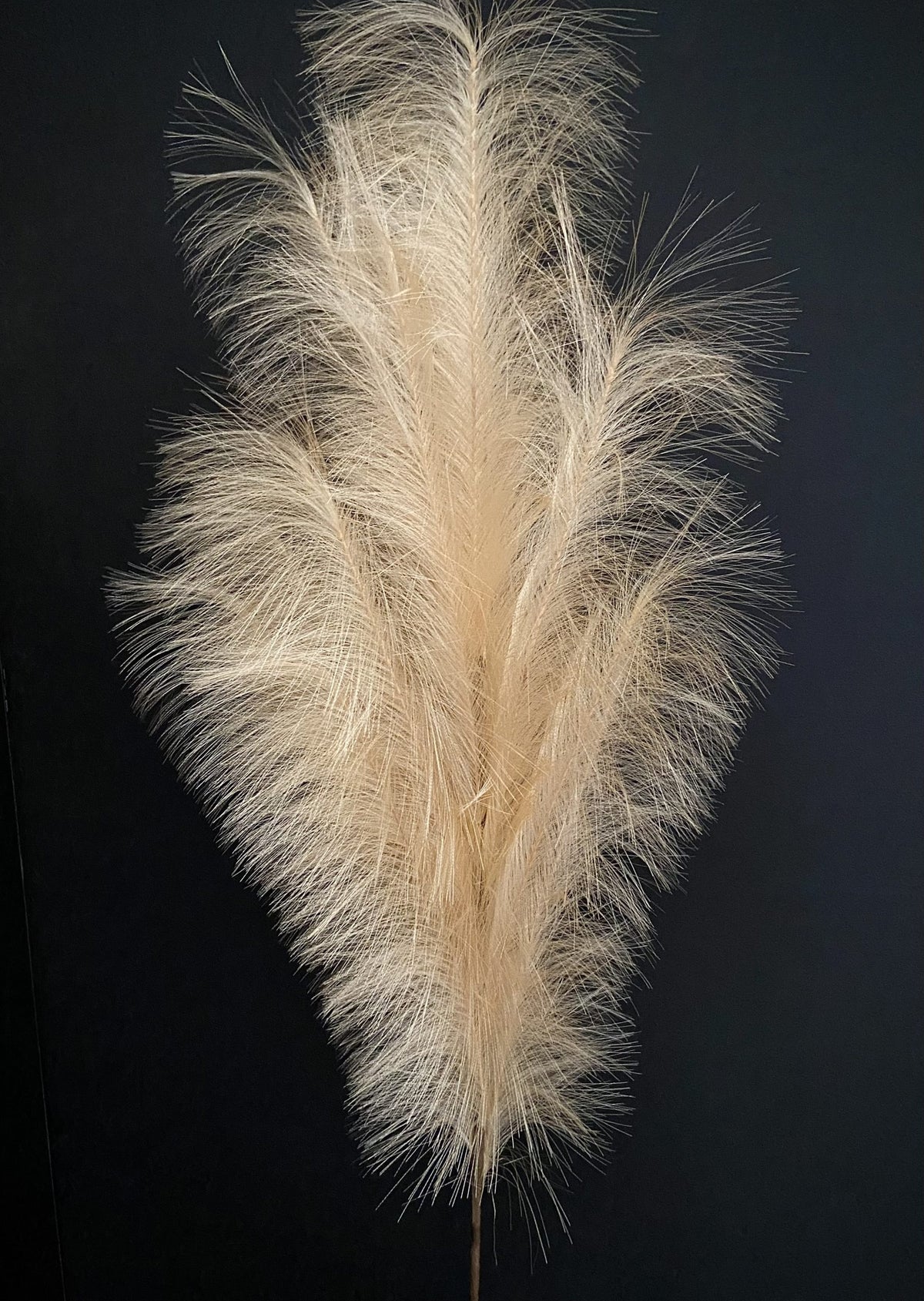 NATURAL FOAM FLOWER 45″x16″ FF705113