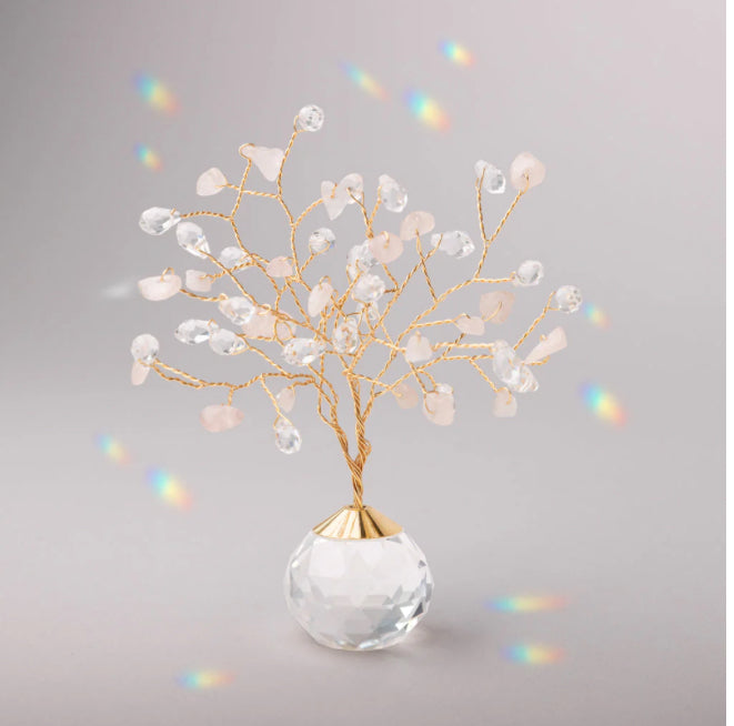 SUNCATHCER TREE OF LIFE