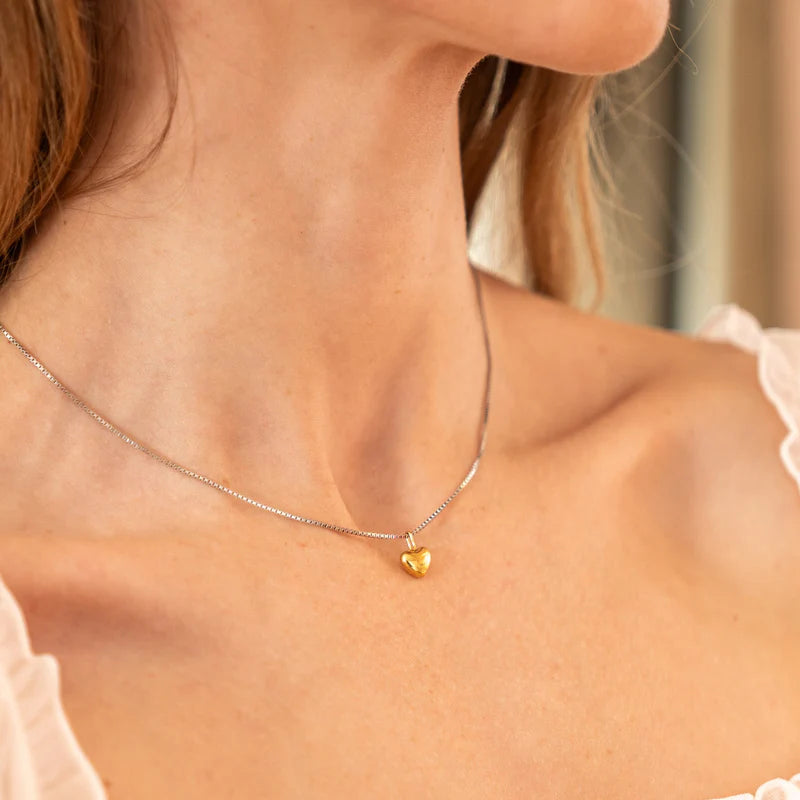 Waterproof Dainty Two-Tone Heart Necklace 683