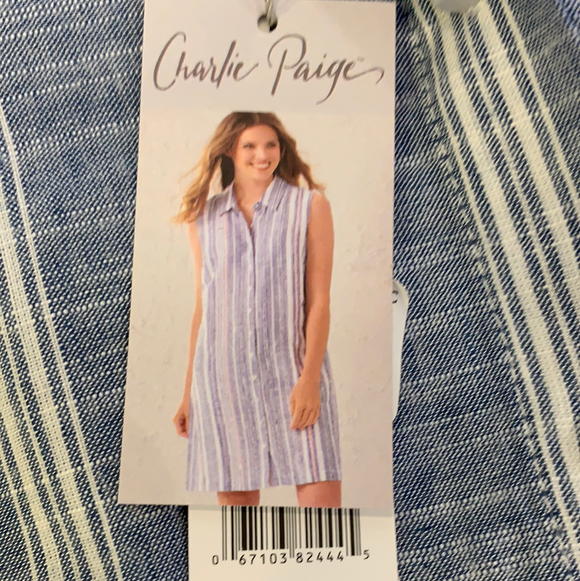 Linen Stripe Dress